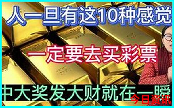 电白有什么好玩的地方景点